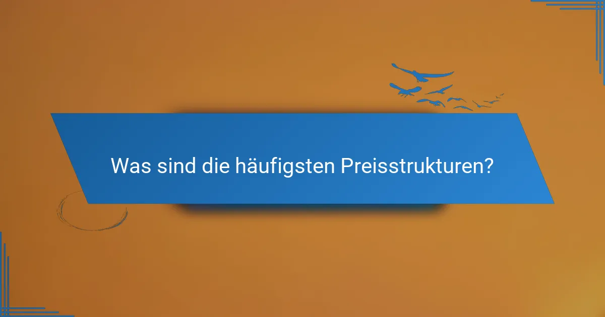 Was sind die häufigsten Preisstrukturen?