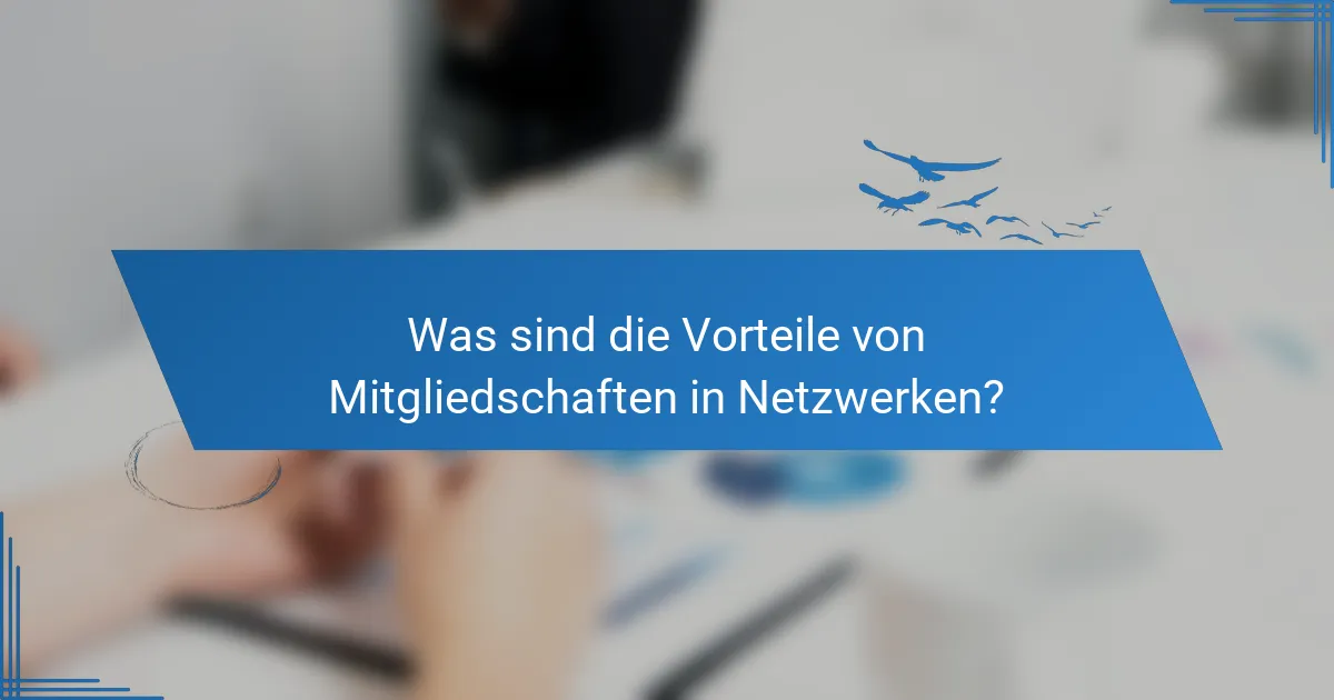 Was sind die Vorteile von Mitgliedschaften in Netzwerken?