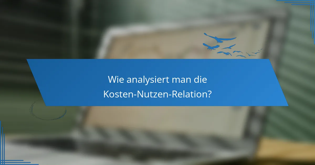 Wie analysiert man die Kosten-Nutzen-Relation?