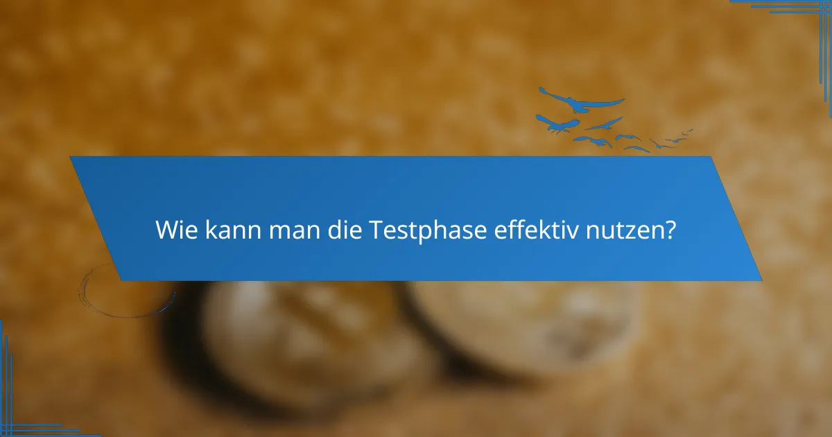 Wie kann man die Testphase effektiv nutzen?