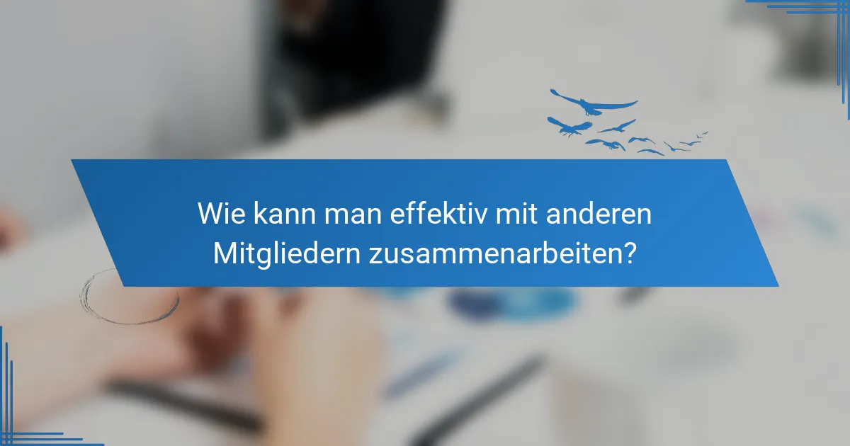 Wie kann man effektiv mit anderen Mitgliedern zusammenarbeiten?