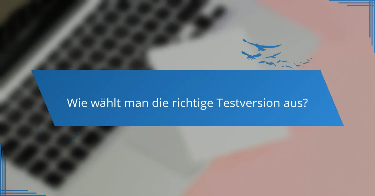Wie wählt man die richtige Testversion aus?